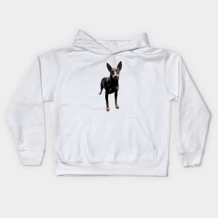 Manchester Terrier Kids Hoodie